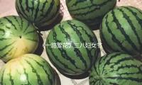 《一路繁花》三八婦女（nǚ）節公益助力女（nǚ）人工作（zuò） 繁花精力傳（chuán）遞溫暖（nuǎn）真情