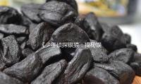 《少年偵探銀狼：揭秘（mì）娛樂圈的正能量故事，引發吃瓜熱潮》