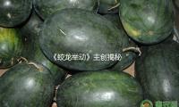 《蛟龍舉動》主創揭秘“潛艇”打造，“聲（shēng）呐兵”王俊凱扮演（yǎn）獲必定 — 新京報