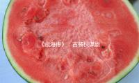 《藏海傳》：古裝權謀（móu）劇的新途徑