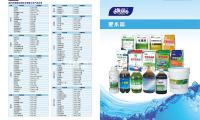 “爸爸團”陪同孩子健（jiàn）康成（chéng）長