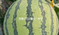 “愛（ài）妻日記之童心”帶你（nǐ）領略吃（chī）瓜娛樂背後的甜（tián）蜜故事