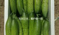 “科技之光（guāng），看護（hù）每一（yī）雙眼睛”——2025全國愛眼日（rì）特別策劃