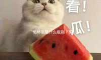 “司局級是什麽級別？揭秘吃（chī）瓜娛樂圈（quān）中的職級奧秘”