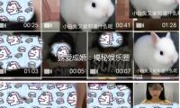 “擄愛成婚：揭秘娛樂圈幸福情侶（lǚ）的甜蜜日（rì）常”