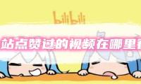 “惹是生非（fēi） 顛倒（dǎo）是非 賊喊捉賊” 我國代表香會辯駁對華無端指責 — 新京報