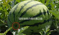 “胡宏俊（jun4）助（zhù）力娛樂圈正能量，吃瓜時代的積極榜樣”