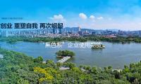 “黑色係”企業使用期貨東西應對工業變局