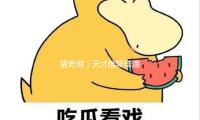 獵奇湃｜天才維斯塔潘