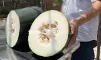愛的理由、“錯付了”，以及（jí）應（yīng）當怎麽日（rì）子的其他倫理學對話 — 新京報