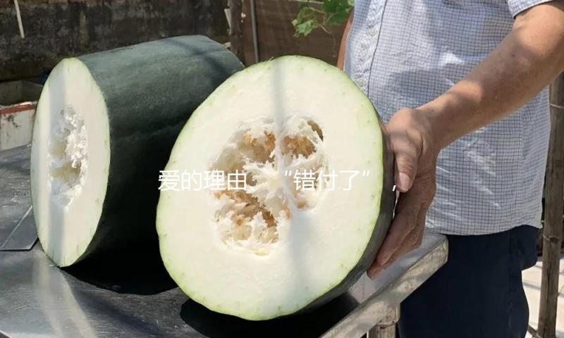 爱的理由、“错付了”，以及应当怎么日子的其他伦理学对话 — 新京报