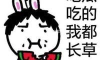 特朗（lǎng）普（pǔ）稱“不在乎”轎車製造商因關稅提價 — 新京報