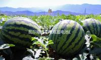 瓦爾塔汽車電瓶（píng）蓄（xù）電池L2-400大眾速騰高爾（ěr）夫君威朗逸銀標汽車電池