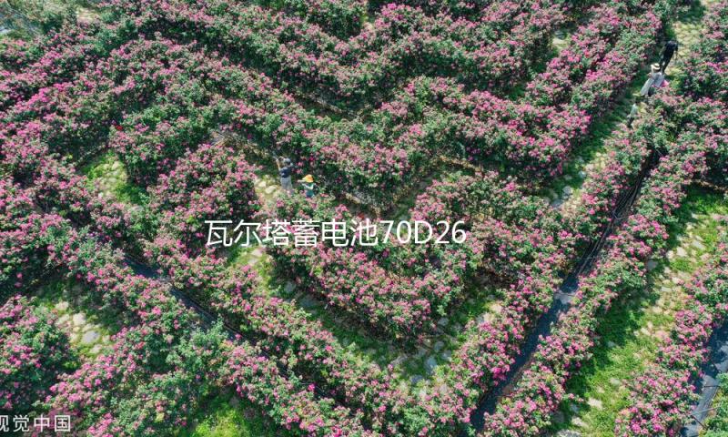 瓦尔塔蓄电池70D26R适配新款GL8陆尊皇冠锐志瑞虎3汽车电瓶蓝标