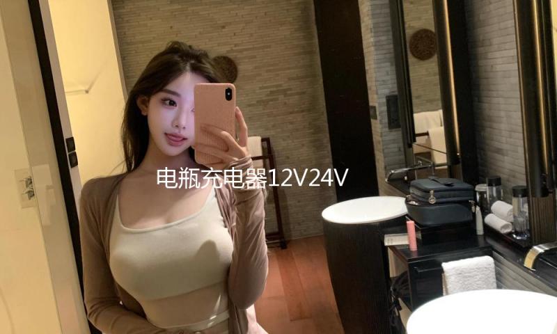电瓶充电器12V24V智能脉冲哈弗起停EFB电池大功率自动汽车充电机