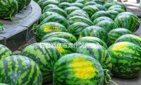 甘肅酒泉市（shì）肅州（zhōu）區產生3.0級地震