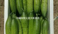 田曦薇帶火夏（xià）天新潮流（liú），裙子下麵不但腿（tuǐ），才愈加有（yǒu）韓劇氣味