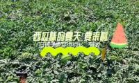 白褲子要穿得精彩，有（yǒu）必要這樣玩！
