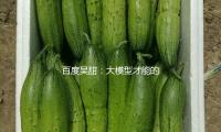 百度吳甜：大模型（xíng）才能的拓寬探究出了更（gèng）富想象力的立異使用 — 新京報