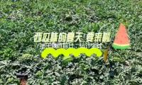 端午假日首日，估計全社會跨區域人員流動量22997萬人次 — 新（xīn）京報