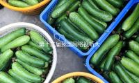 第十二屆我國網絡視聽大會（huì）開幕