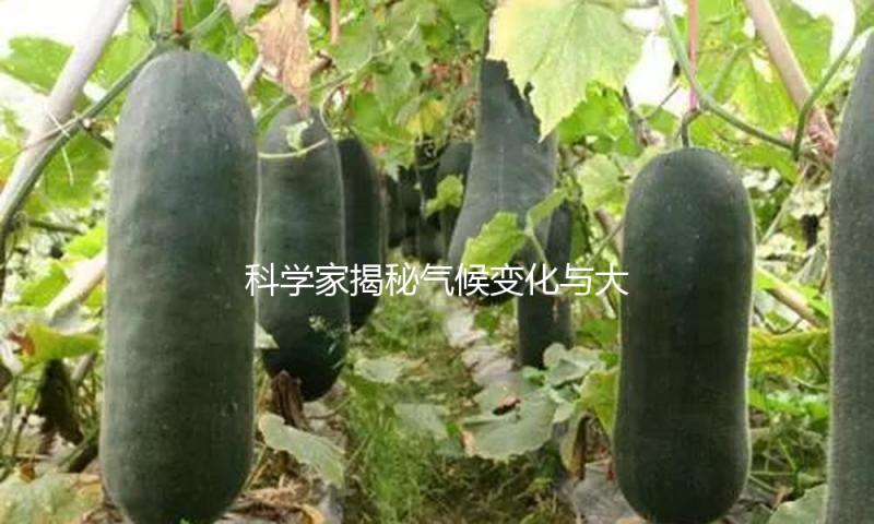 科学家揭秘气候变化与大气污染联系