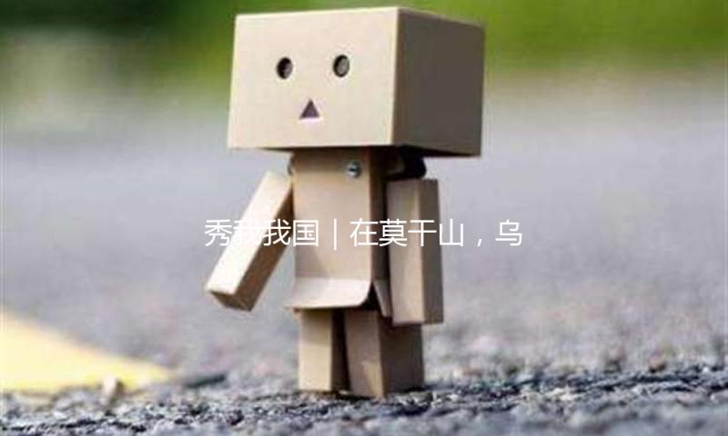 秀我我国｜在莫干山，乌兰察布花式推介当地文旅