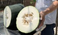 網紅迪迪尖銳發問黃子韜（tāo） "是否想（xiǎng）過離婚" 黃子韜