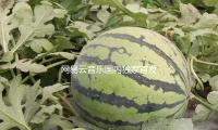 網易雲音樂國內獨家首發（fā）王嘉爾新專輯 首支新歌《High Alone》已上線