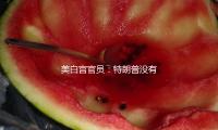 美白宮官員：特朗普沒有（yǒu）與馬斯克攀談的方案（àn） — 新京報