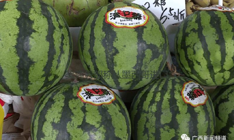 美商务部称从墨西哥进口的西红柿将面对20.91%关税 — 新京报