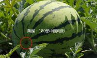 美（měi）媒：180部（bù）中國電影露臉戛納世界電（diàn）影節