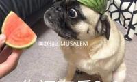 美聯儲的MUSALEM：在關稅（shuì）對通脹的影響變得顯著之（zhī）前 不該許諾降息