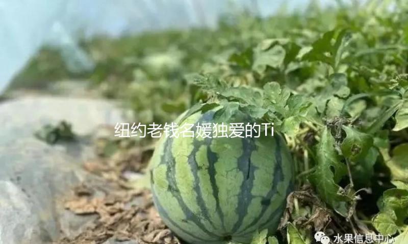 纽约老钱名媛独爱的Tiffany，成都“新家”满意了一切梦想！