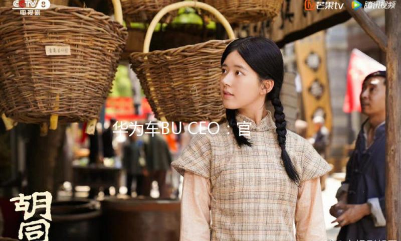 华为车BU CEO：官方标准智能驾驭宣扬运用，对华为这样做得好的企业是功德