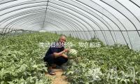 南靖縣船場鎮：我在船場新時代文明實踐中心所過元旦——新式婚育文明宣揚活動