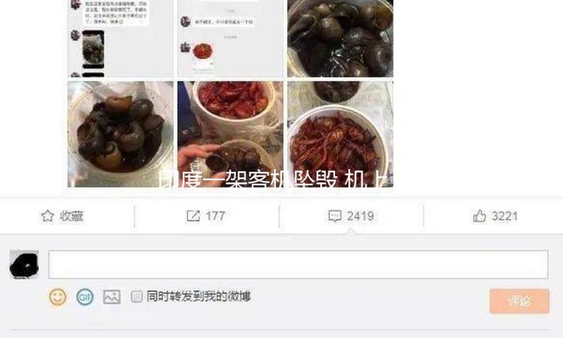 印度一架客机坠毁 机上搭载242名乘客