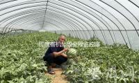 印度客機墜（zhuì）毀全程監控曝光
