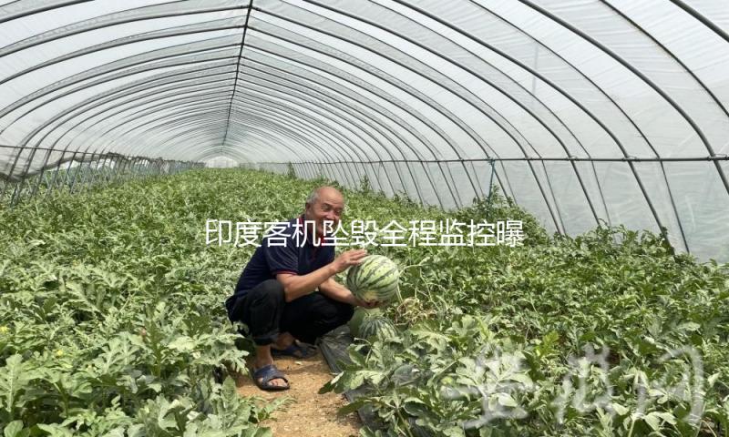 印度客机坠毁全程监控曝光