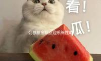 公募（mù）基金職業迎係統性革新：基（jī）金公司業績差有必要少收費