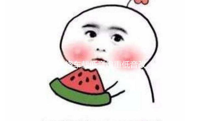 发烧车载低音炮重低音改装超薄座位下有源带功放蓝牙专用音响12v