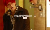 受極點勁風氣候影響，天津處置550餘起樹木倒伏狀況