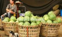 北影雙料主力饒嘉迪北電結業 多部待播劇引（yǐn）等待