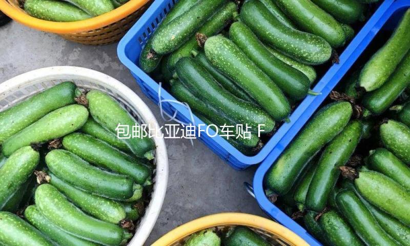 包邮比亚迪FO车贴 F0拉花 汽车改装专用机盖贴纸 熊猫贴花 腰线