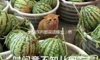 劉強東內部說話曝光：京東外賣（mài）淨利潤不許超5% 批評職業抽傭30%