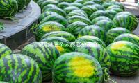 到3月底個人養老金基金達288隻