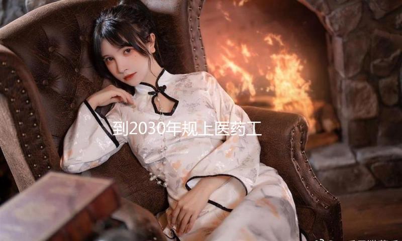 到2030年规上医药工业企业根本完成数智化转型全掩盖
