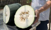 創業惠康：人工智能（néng）+醫療信息化（huà）轉化為產（chǎn）能（néng）需必定時刻（kè） — 新京報