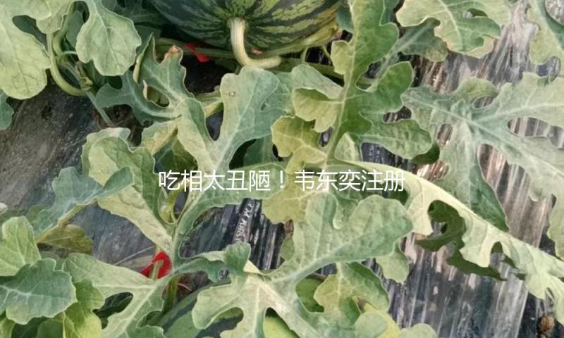 吃相太丑陋！韦东奕注册才5天，官媒发声，谈论区厌恶一幕发生了