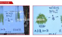 和張一山同居，和鹿晗（hán）傳緋（fēi）聞，她連楊迪都（dōu）不放過（guò）？
